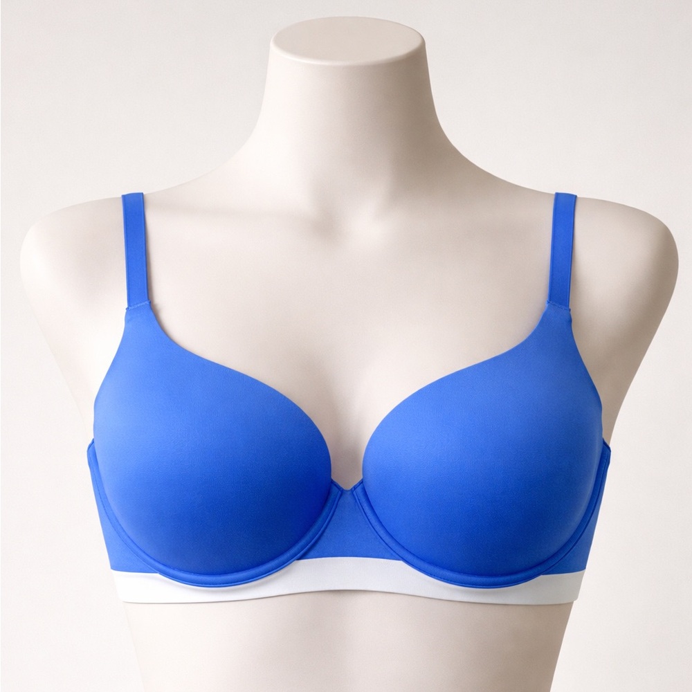 Aerie Blue Bra 34DD